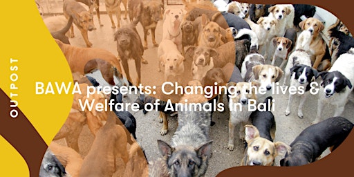 Imagem principal de BAWA presents: Changing the lives & Welfare of Animals in Bali