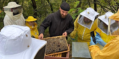 Hauptbild für Visita in apiario!