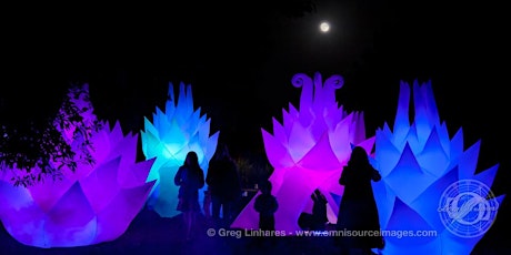 2014 Autumn Lights Festival on October 17&18, Sponsored by PG&E primary image