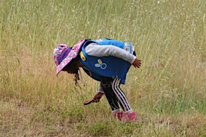 Imagem principal de Almaden Quicksilver BioBlitz