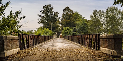 Immagine principale di Passeggiando in bicicletta: da Ostiano a Isola Dovarese 