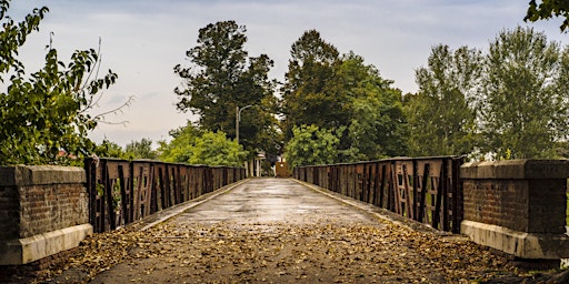 Immagine principale di Passeggiando in bicicletta: da Ostiano a Isola Dovarese 