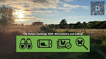 City Nature Challenge at UoW Innovation Campus, Wellesbourne - Morning