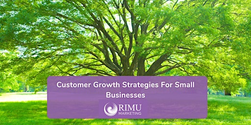 Imagen principal de Customer Growth Strategies For Small Businesses