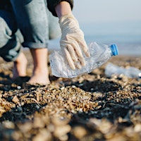 Beach Clean and Network primary image