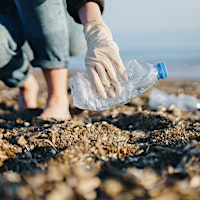 Immagine principale di Beach Clean and Network 