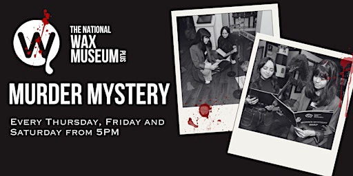 Murder Mystery Experience