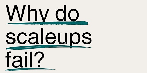 Primaire afbeelding van Why do scaleups fail?