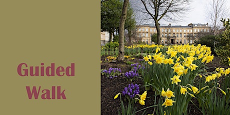GUIDED WALK & AFTERNOON TEA