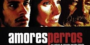 Imagen principal de Amores perros | PUNTO DE FOCO GAEL GARCÍA BERNAL