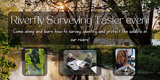 Imagem principal do evento Riverfly Survey Taster Event