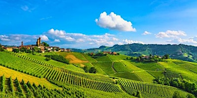 Hauptbild für Domenica per single con pranzo nelle Langhe aprile 2024