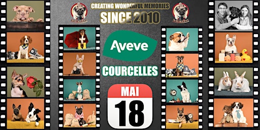 Primaire afbeelding van AVEVE COURCELLES SHOOTING PHOTO