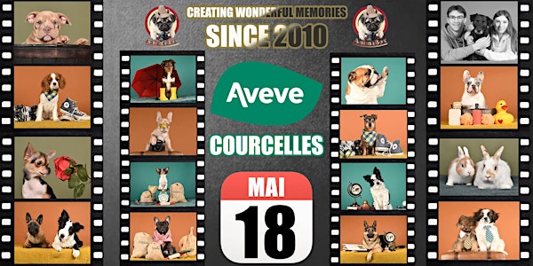 AVEVE COURCELLES SHOOTING PHOTO
