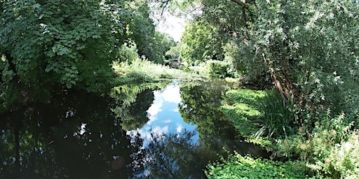 Imagem principal de Pennywort Pull: Frays Island Nature Reserve