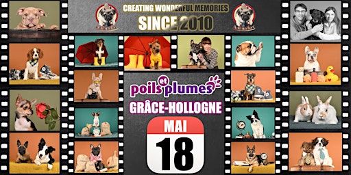 Imagem principal de POILS & PLUMES GRÂCE-HOLLOGNE SHOOTING PHOTO