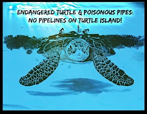 Endangered turtle & poisonous pipes: No pipelines on Turtle Island! primary image