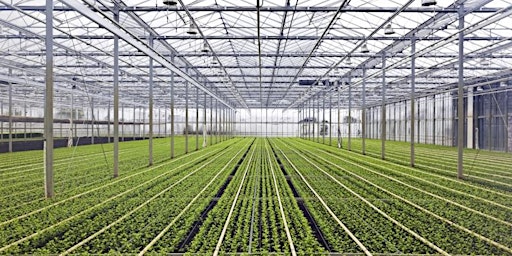 Imagem principal de Niagara Greenhouse Growers - Information Session