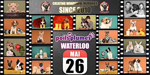 POILS & PLUMES WATERLOO SHOOTING PHOTO primary image