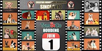 TOM&CO HOUDENG SHOOTING PHOTO primary image