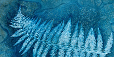 Imagem principal de Wet Cyanotype Leaves