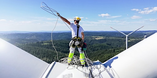 Primaire afbeelding van Open Day: Windfarm Operations Open Day, March - June 2024