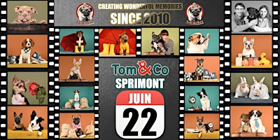 TOM&CO SPRIMONT SHOOTING PHOTO primary image