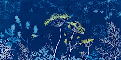 Cyanotype a Blue Garden primary image