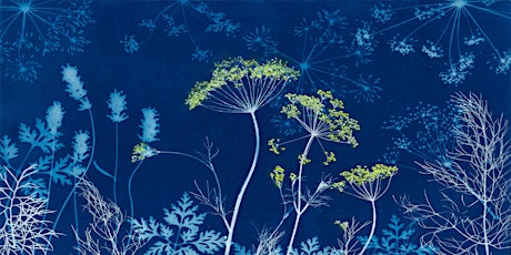 Cyanotype a Blue Garden