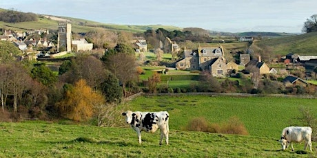 Challenge Walk - 16km Abbotsbury Circular walk from Hardy Monument