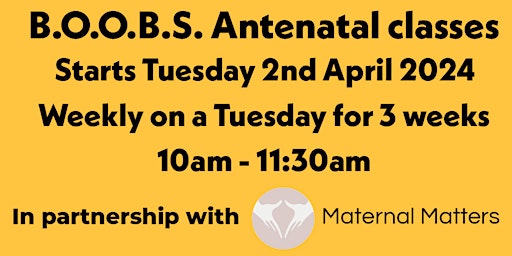 Hauptbild für BOOBS Antenatal classes APRIL 2024 - 3 classes over 3 weeks