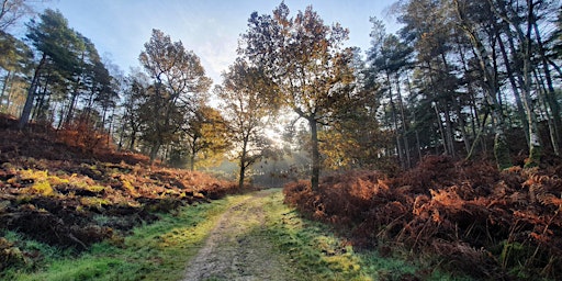 Image principale de Longmoor through the Ages