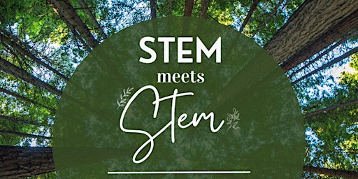 STEM meets S.T.E.M. primary image