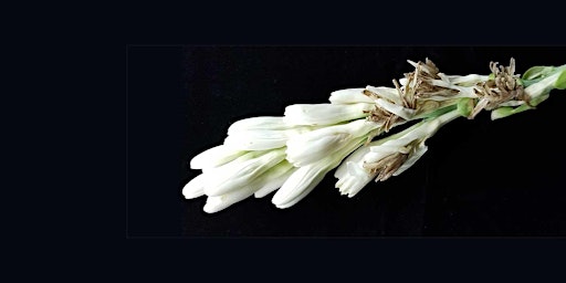 Hauptbild für Tuberose: Perfume  Accords, with Ashley Eden Kessler (online)