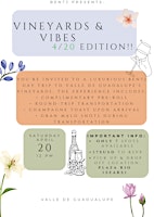 Imagem principal do evento Vineyards & Vibes 4/20 edition