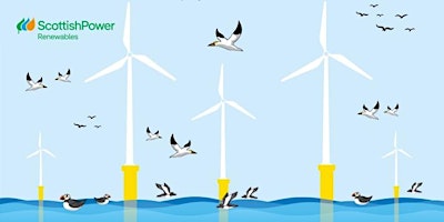 Imagen principal de Offshore Wind and Ornithology 2024