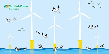 Offshore Wind and Ornithology 2024