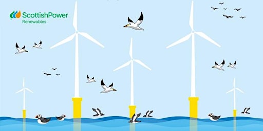 Imagem principal do evento Offshore Wind and Ornithology 2024