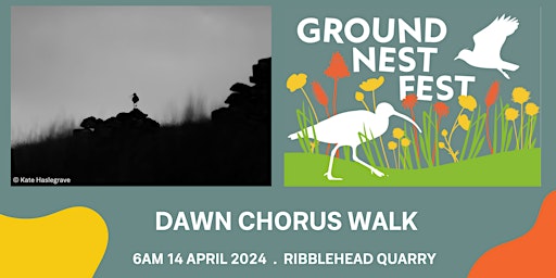 Primaire afbeelding van Dawn Chorus Walk