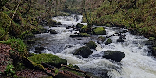 Golitha Falls Volunteer Task Day - Footpath Landscaping primary image