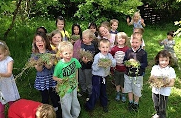 Birds, eggs and nest building!