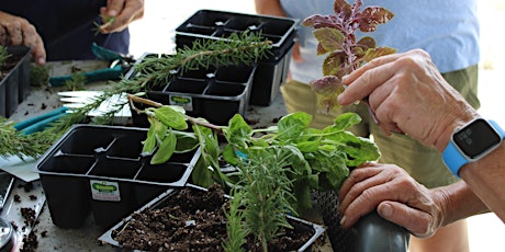 Hauptbild für Propagation Workshop