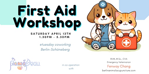 Primaire afbeelding van First Aid Workshop for Dogs & Cats