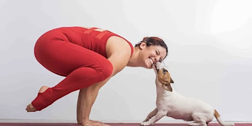 Imagem principal do evento Puppy Yoga: Stretch, Relax, and Bring your puppy