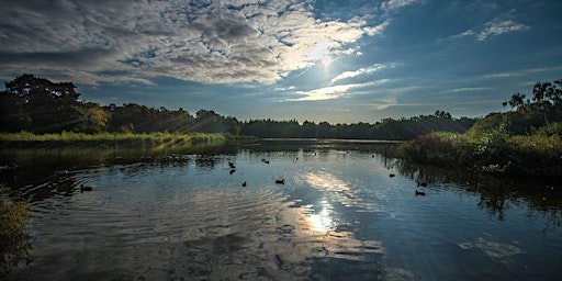 Imagem principal de Guided Walk – Stover Wildlife