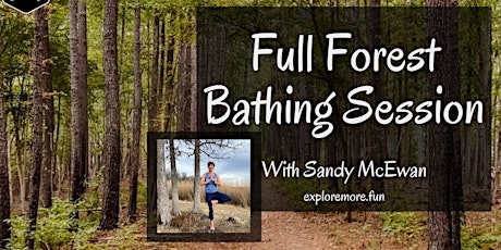 Full Forest Bathing Experience  primärbild