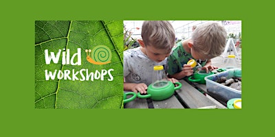 Image principale de Wild Workshops at Ashton library! Session Two 11.00-11.45am