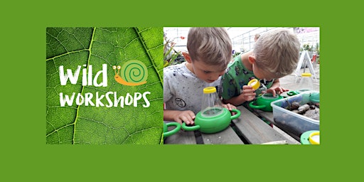 Wild Workshops at Ashton library! Session Two 11.00-11.45am primary image