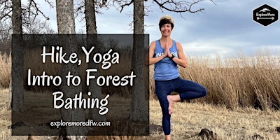 Primaire afbeelding van Hike, Yoga and Intro to Forest Bathing