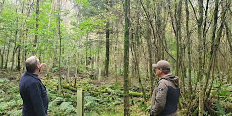 Woodlot Open Day - Castle Wood Caerlaverock